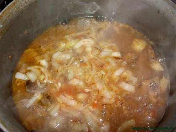 АЗУ ПО-ТАТАРСКИ с говядиной (суп- соус). Tatar soup with beef.